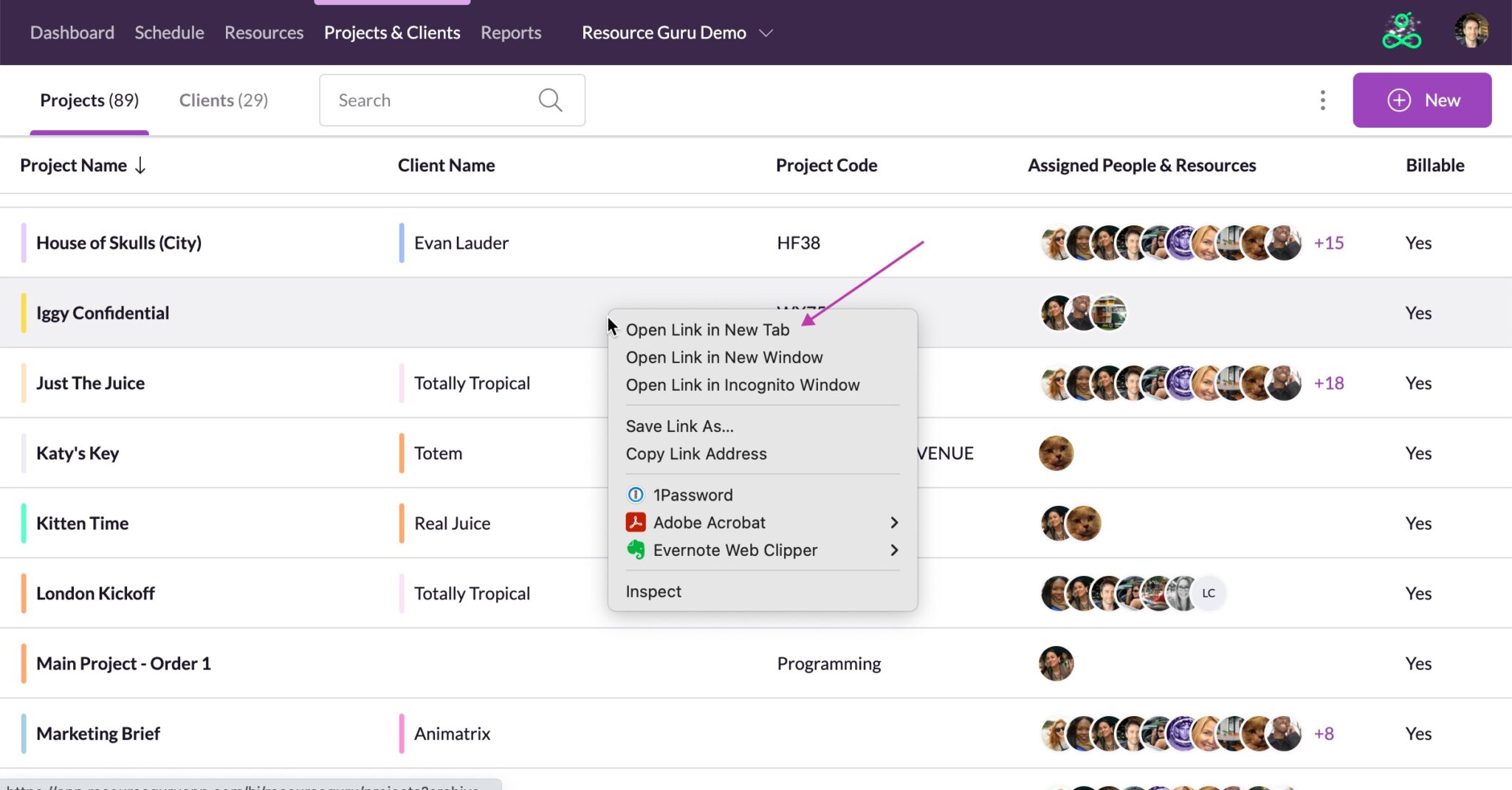 Projec Client Projects & Clients enhancements, API fixes, layout tweaks