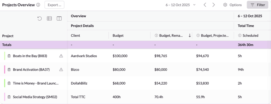 Projects overview report on Resource Guru.