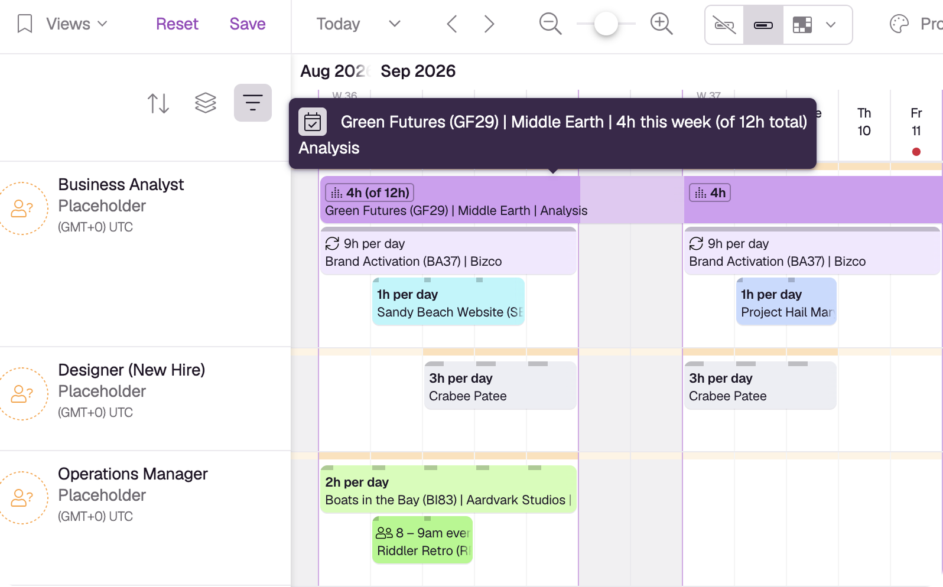 Resource Guru Total Hours booking on a placeholder.