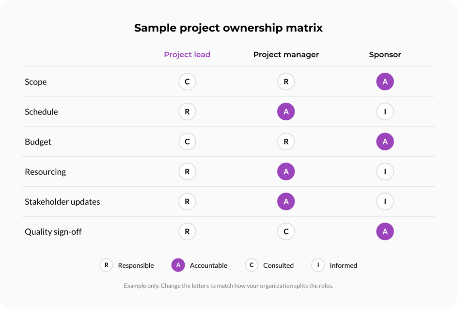 Project lead RACI matrix.